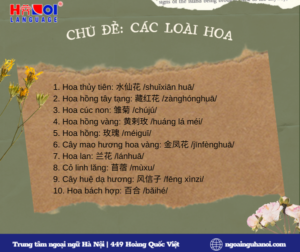 Từ mới chủ đề các loài hoa trong tiếng Trung 01