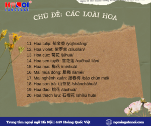 Từ mới chủ đề các loài hoa trong tiếng Trung 02