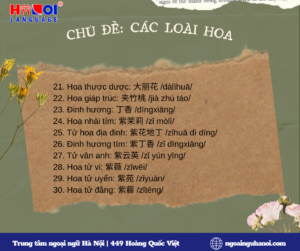 Từ mới chủ đề các loài hoa trong tiếng Trung 03