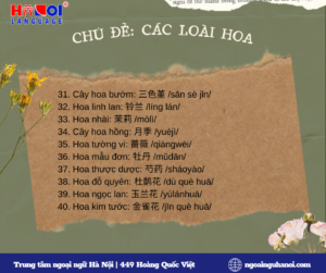 Từ mới chủ đề các loài hoa trong tiếng Trung 04