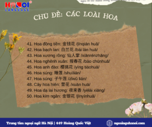 Từ mới chủ đề các loài hoa trong tiếng Trung 05