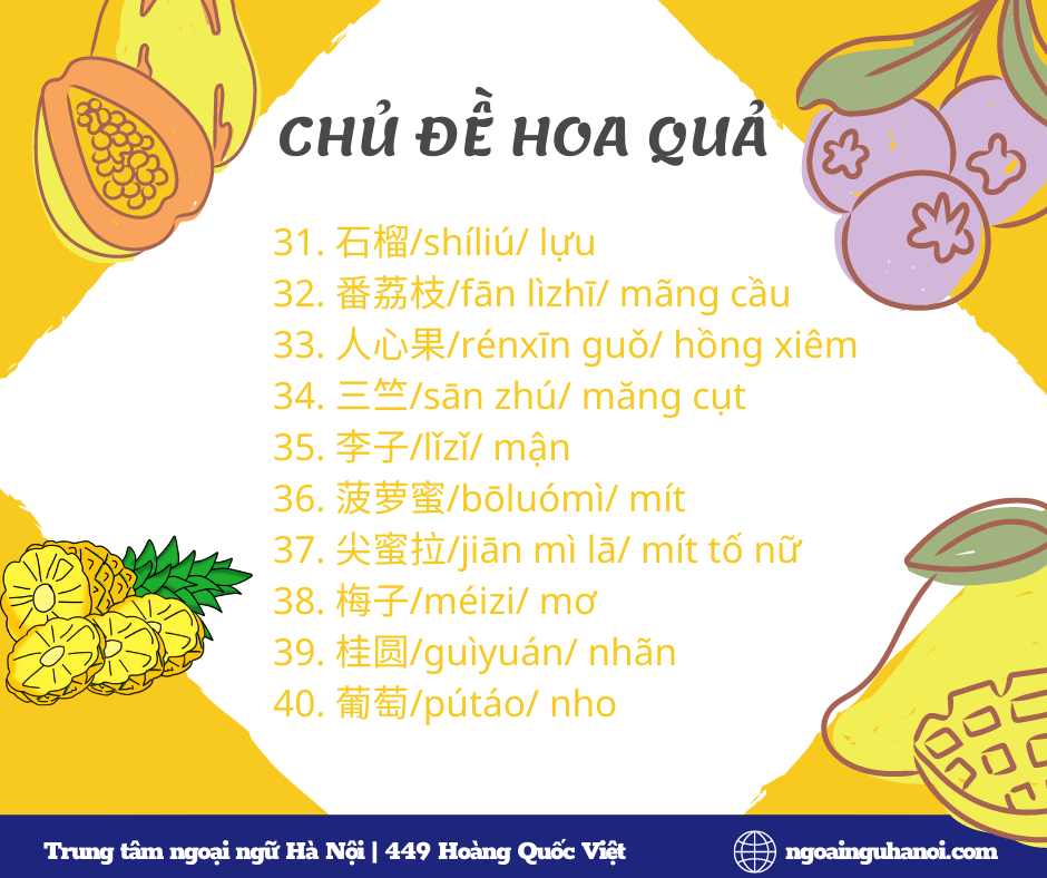Từ mới chủ đề hoa quả trong tiếng Trung 04