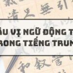 Câu vị ngữ động từ trong tiếng Trung
