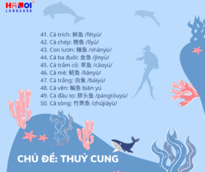 Từ mới chủ đề thuỷ cung trong tiếng Trung 5