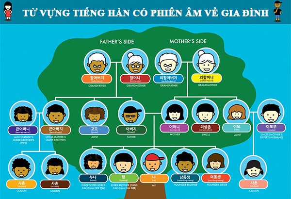 từ vựng tiếng hàn về gia đình