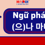 Ngữ pháp -(으)나 마나 trong tiếng Hàn