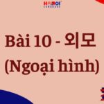 Tiếng Hàn Tổng hợp Sơ cấp 2: Bài 10 – 외모 (Ngoại hình)